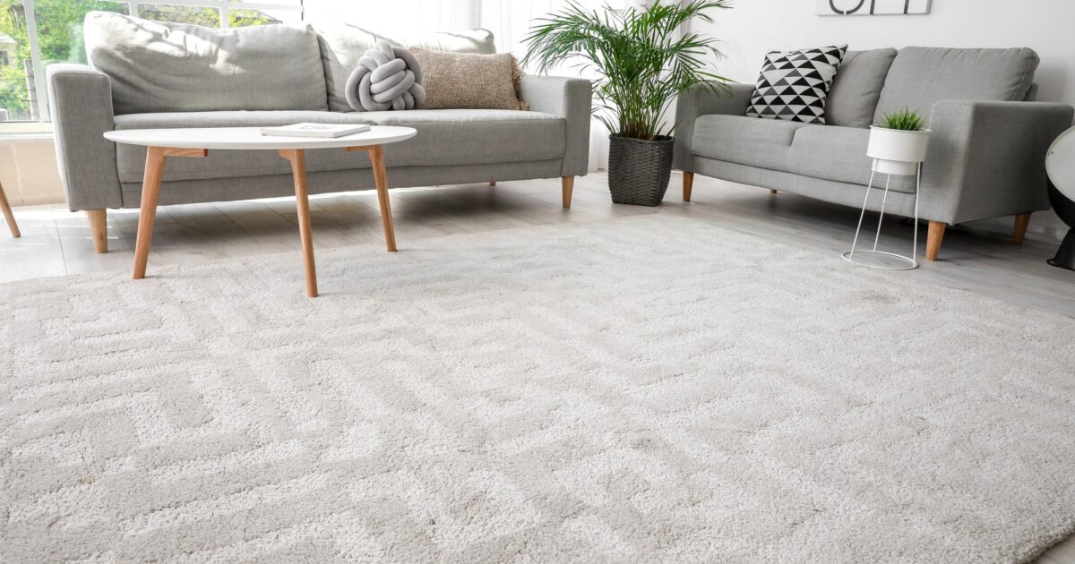 Tauranga Carpet Cleaning
